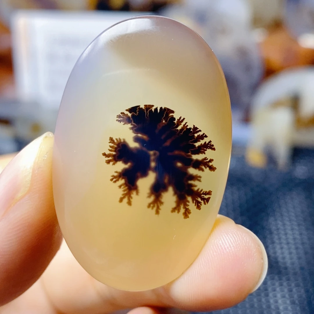 玛瑙/玉髓未镶嵌珠宝奇石