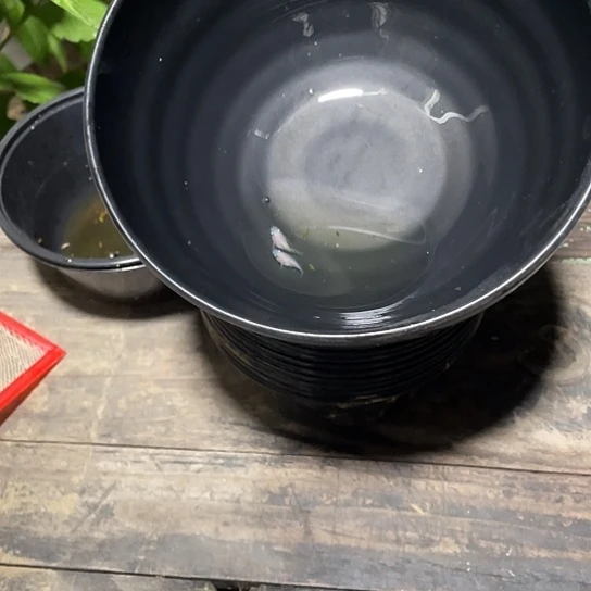 青鳉鱼小町球观背青鳉