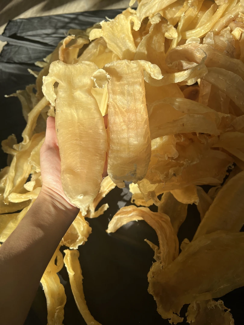 联兴港 正宗大耳深海赤嘴公鱼胶8头 老货精选漂亮