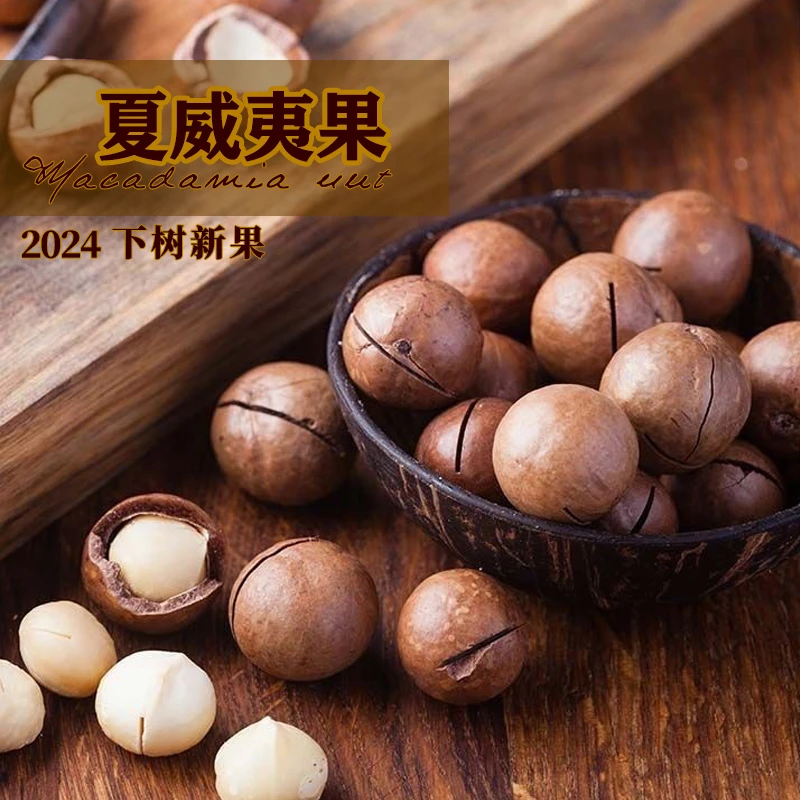 2024新货大颗粒夏威夷果奶油味坚果500g坏果包赔年货孕妇厂家直销