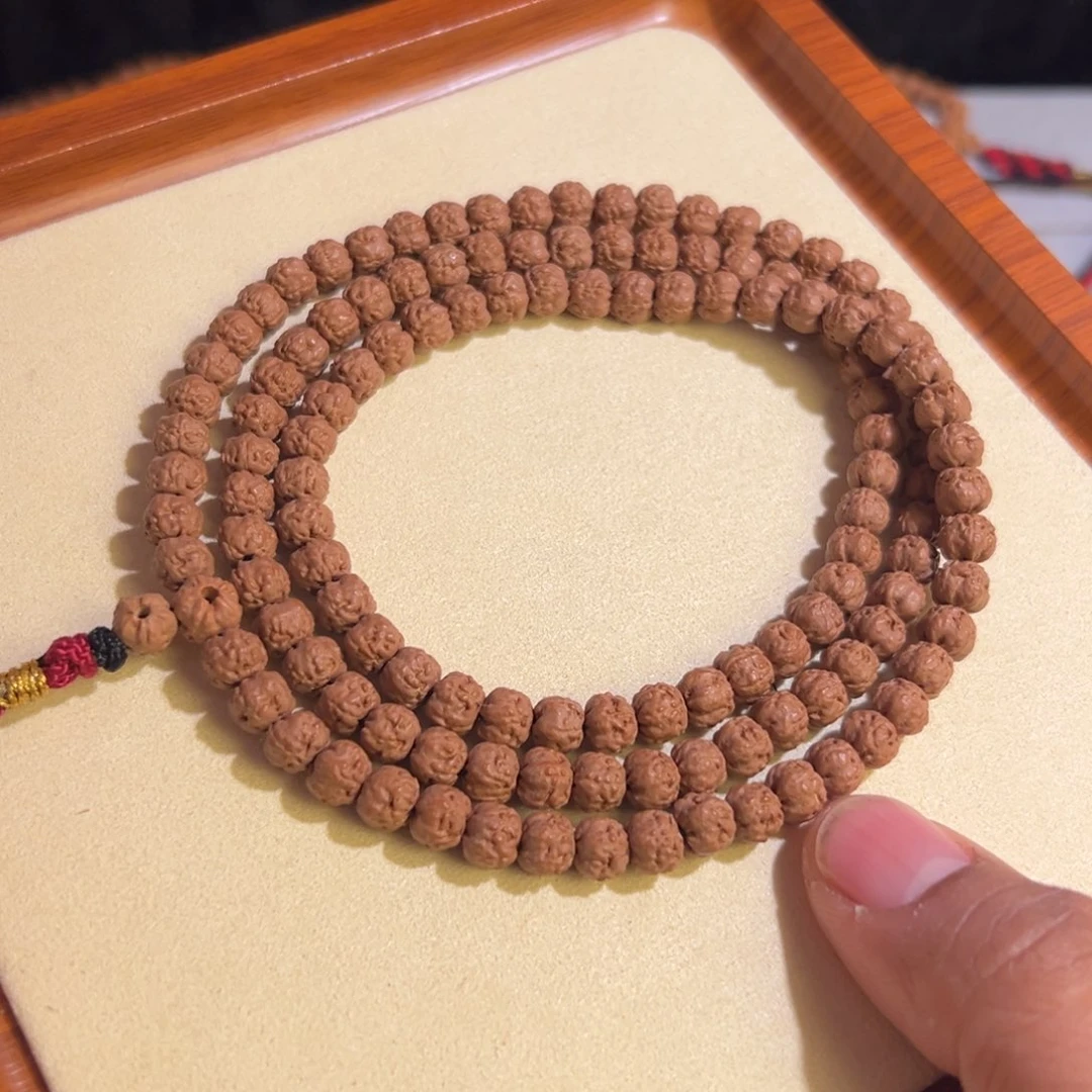 五爪金龙，原装佛手小