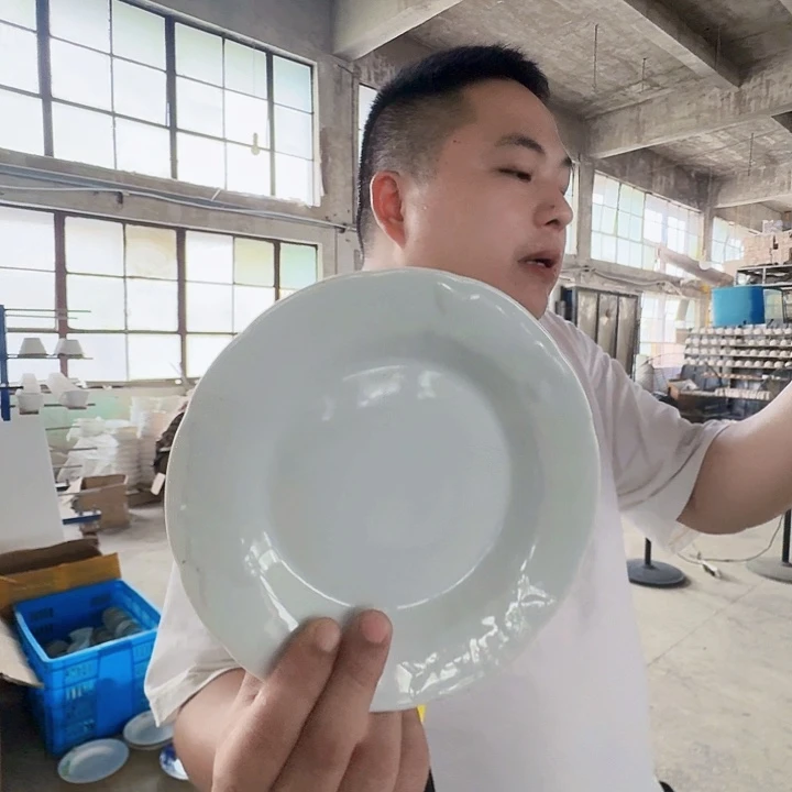 景德镇高温陶瓷老白胎水点桃花暗刻纹7寸盘10个
