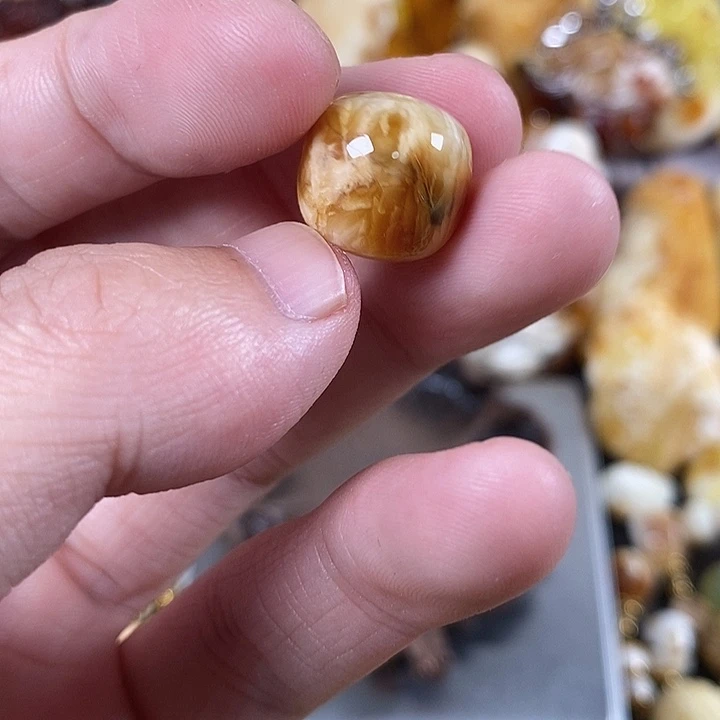琥珀未镶嵌裸石我