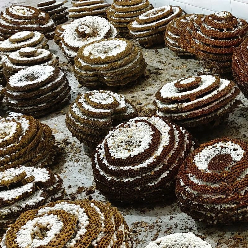 新鲜油炸马蜂蛹小黑蜂蛹半斤2025蜂蛹儿子（3级带内脏介意慎拍）