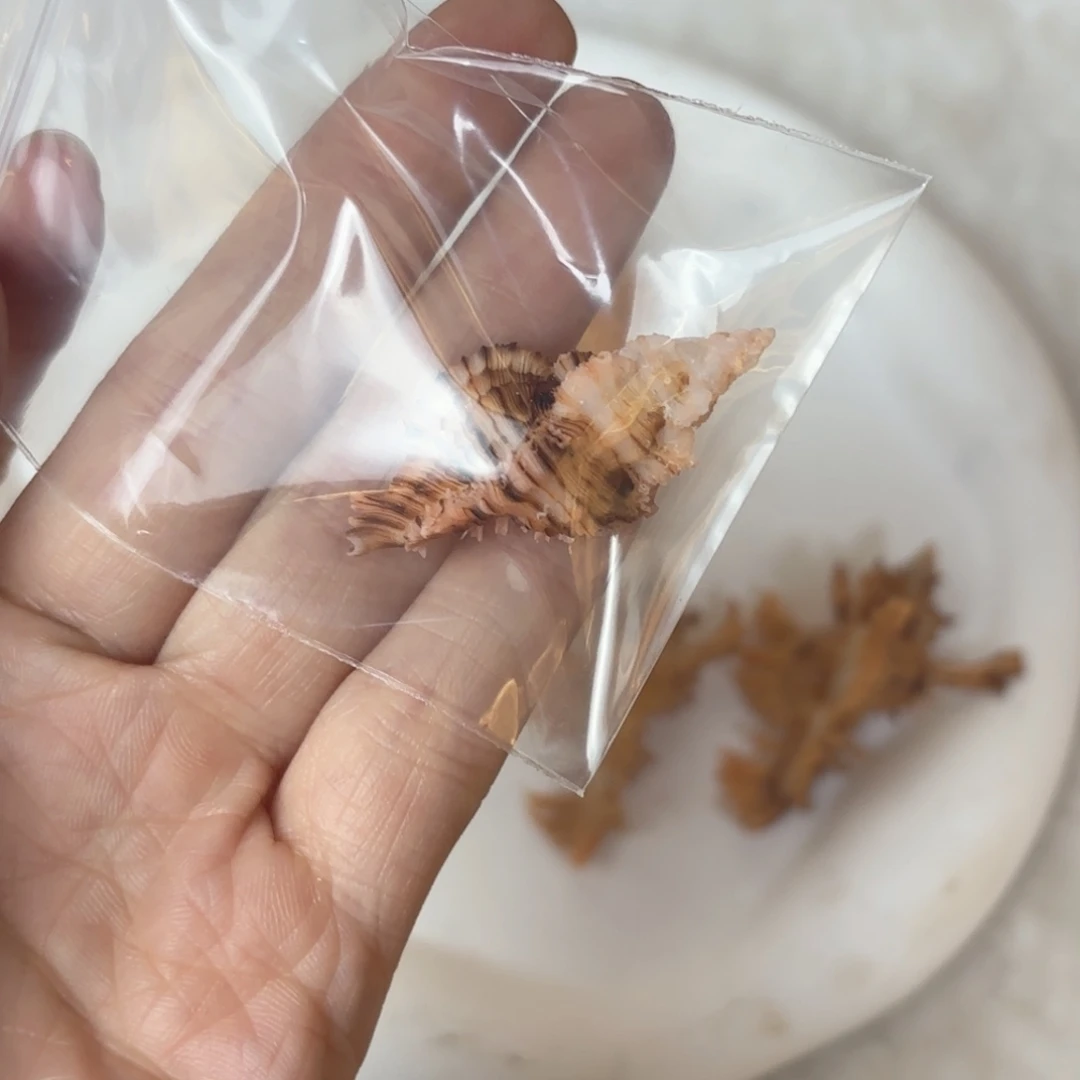 怜***怜天然海螺贝壳标本福利