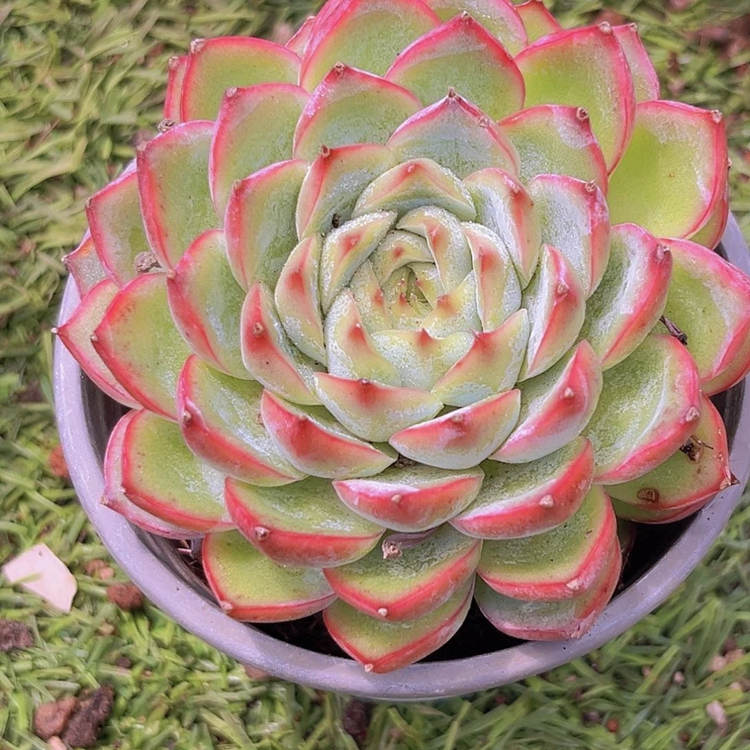 17号9999999999999楼9