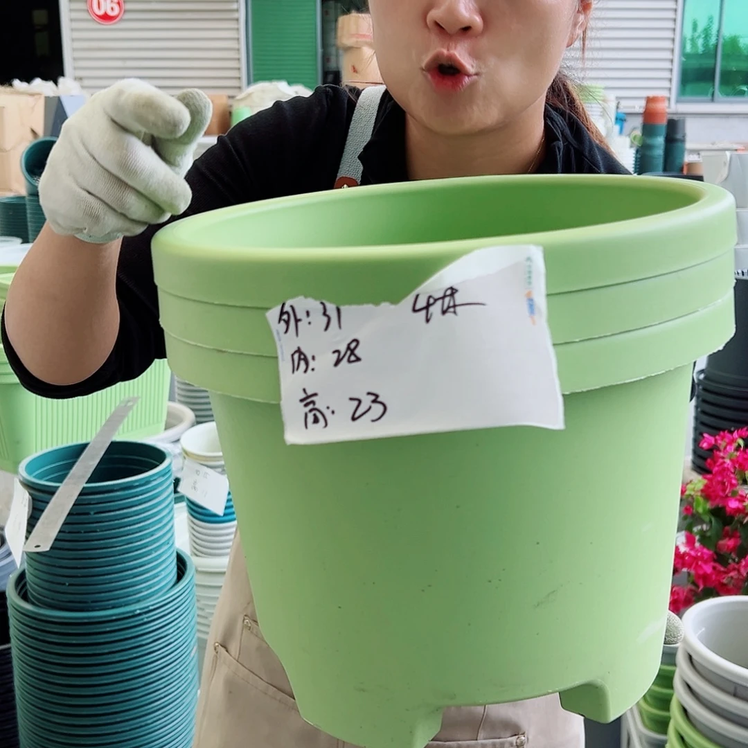 球根盆4#果绿色5个无托
