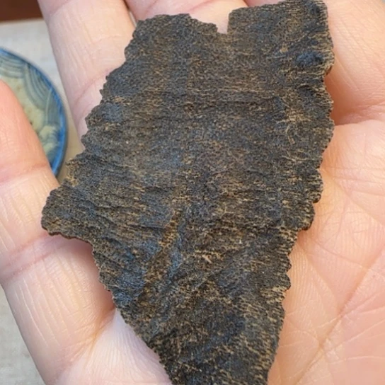 沉香摆件海南沉水琼中包头1.7克