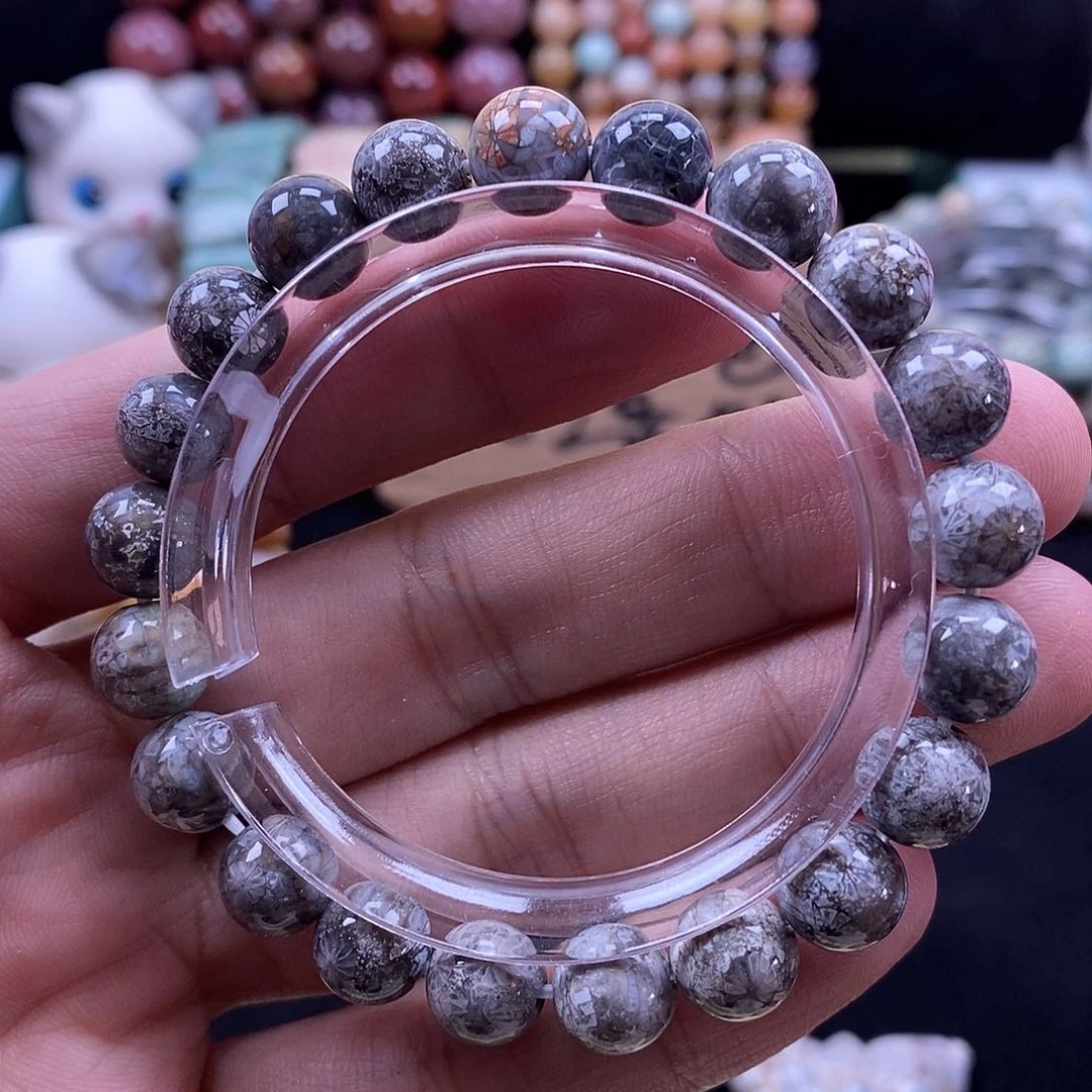 未镶嵌手牌硅化珊瑚（珊瑚玉）皮**咩