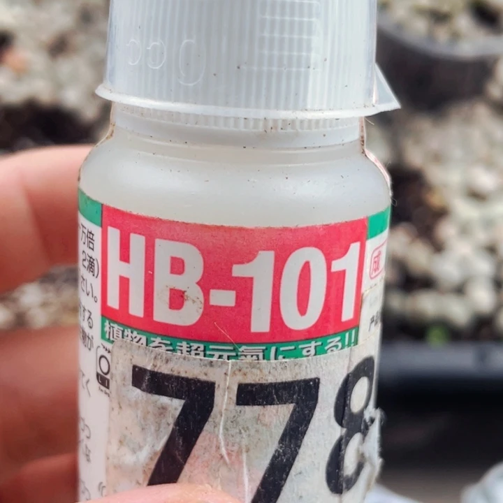 778植物活力素一瓶