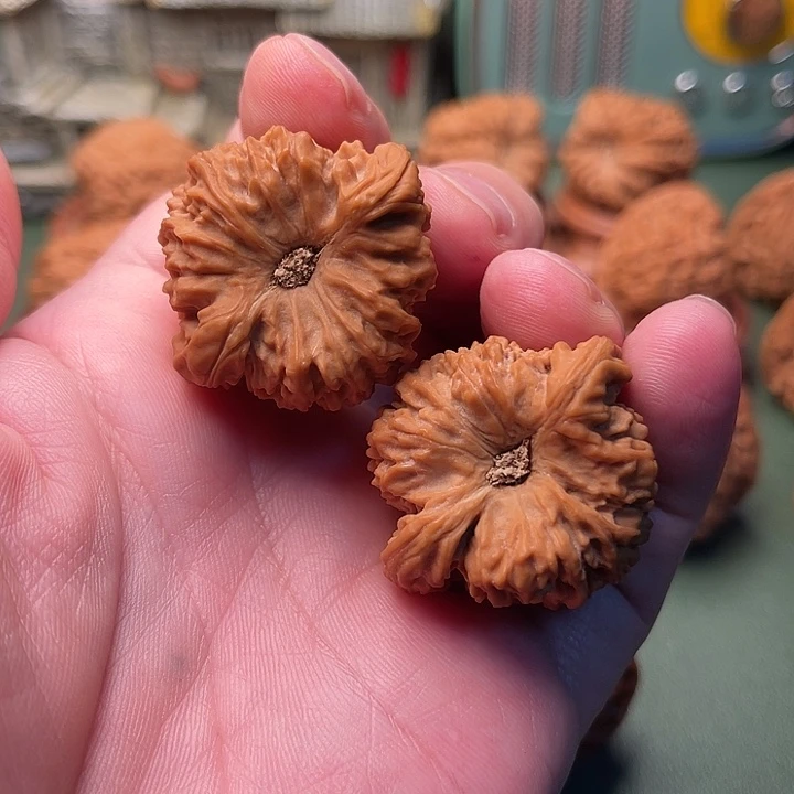 大酒杯凹底南将石