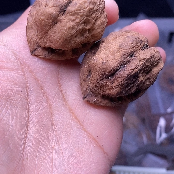 文玩核桃吊坠   56