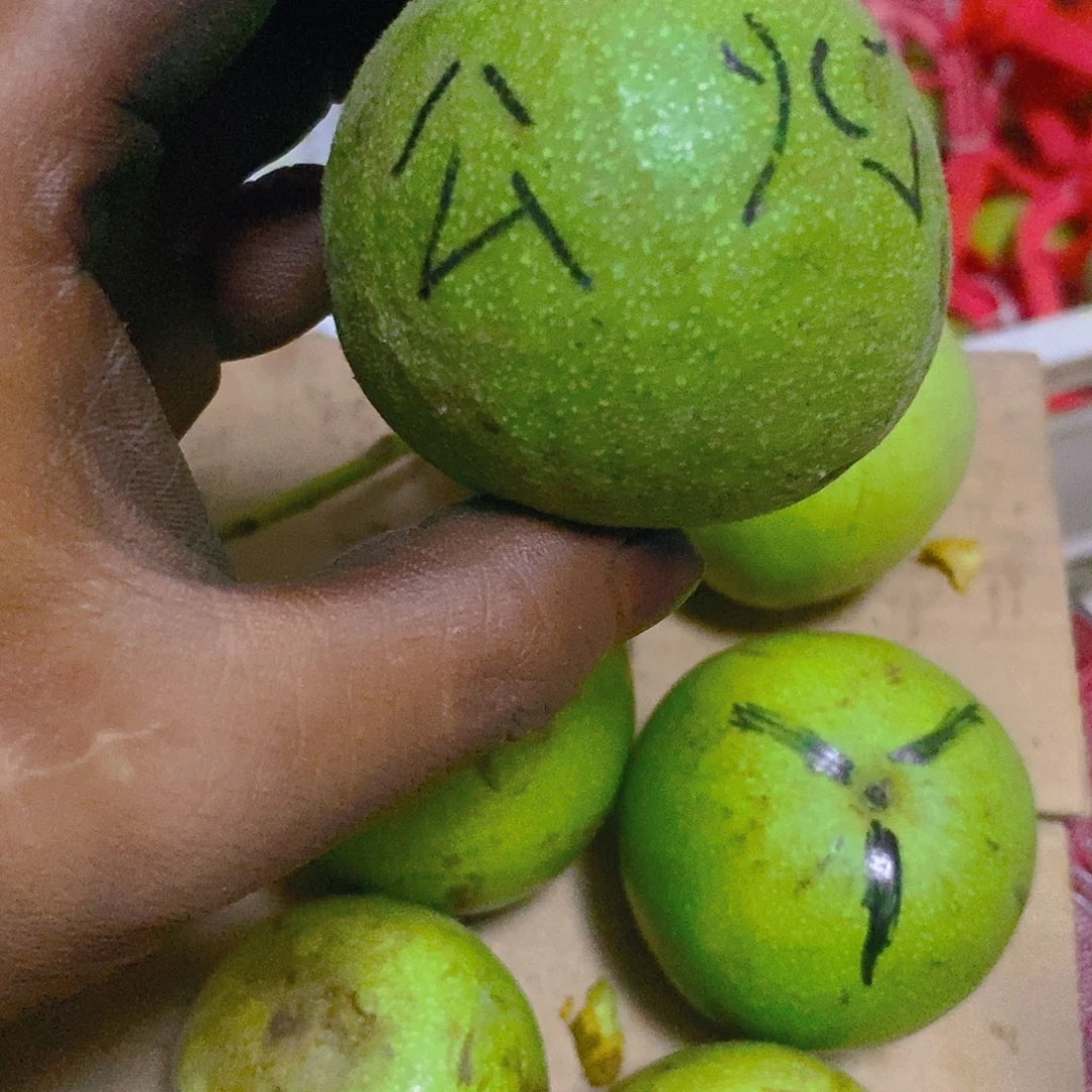 羅****宫灯核桃文玩核桃三棱炸炸炸