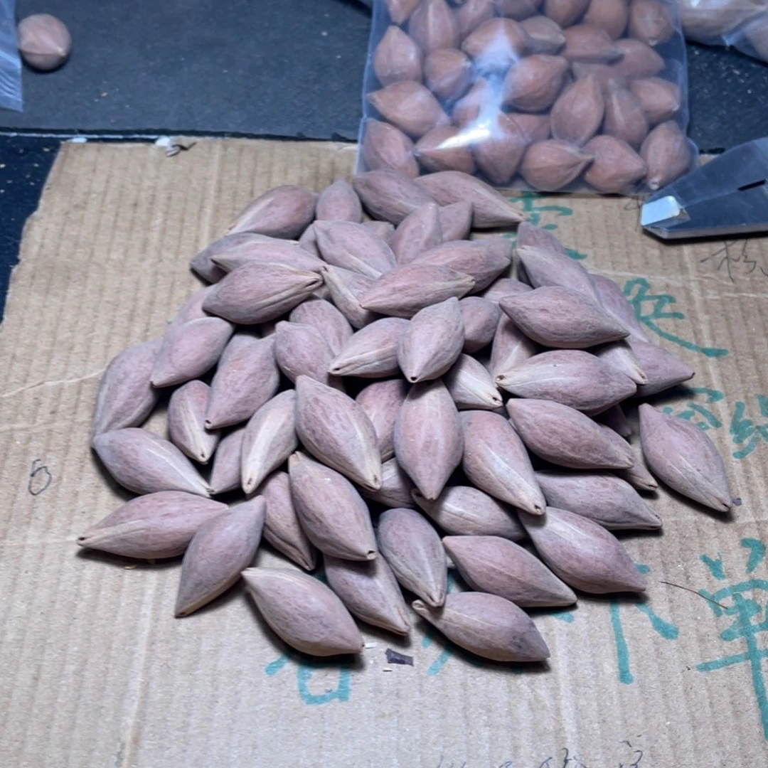 延***江橄榄核吊坠不退不换wetttiioo