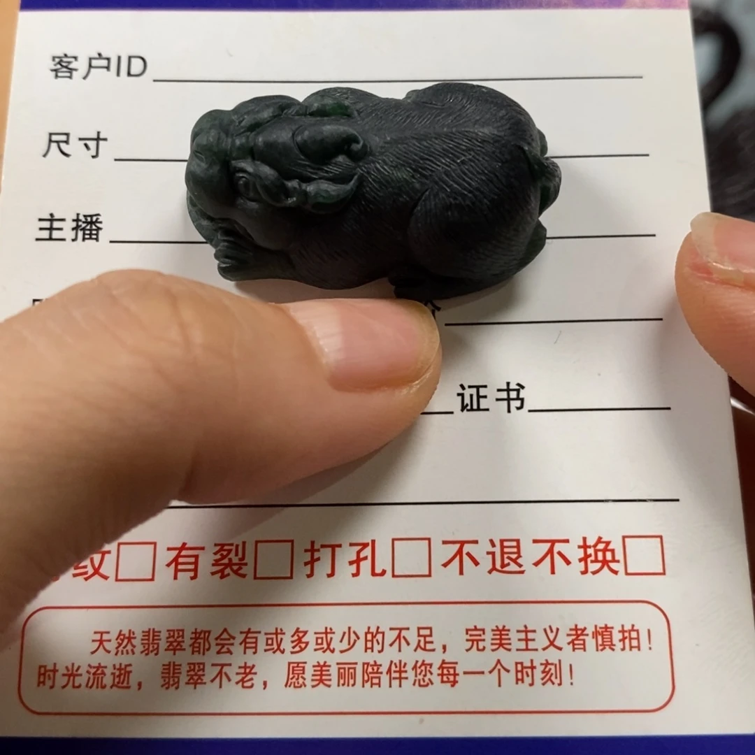 颈饰未镶嵌翡翠天然缅甸A货墨翠貔貅