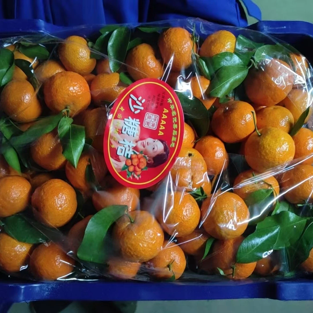 砂糖橘一框10斤49.9
