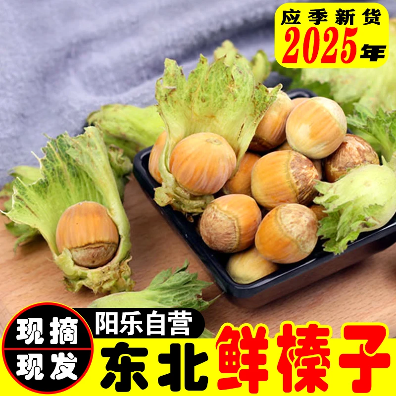 2025年现货辽宁新鲜绿皮大榛子现剥现发榛子核应季现货5斤包邮