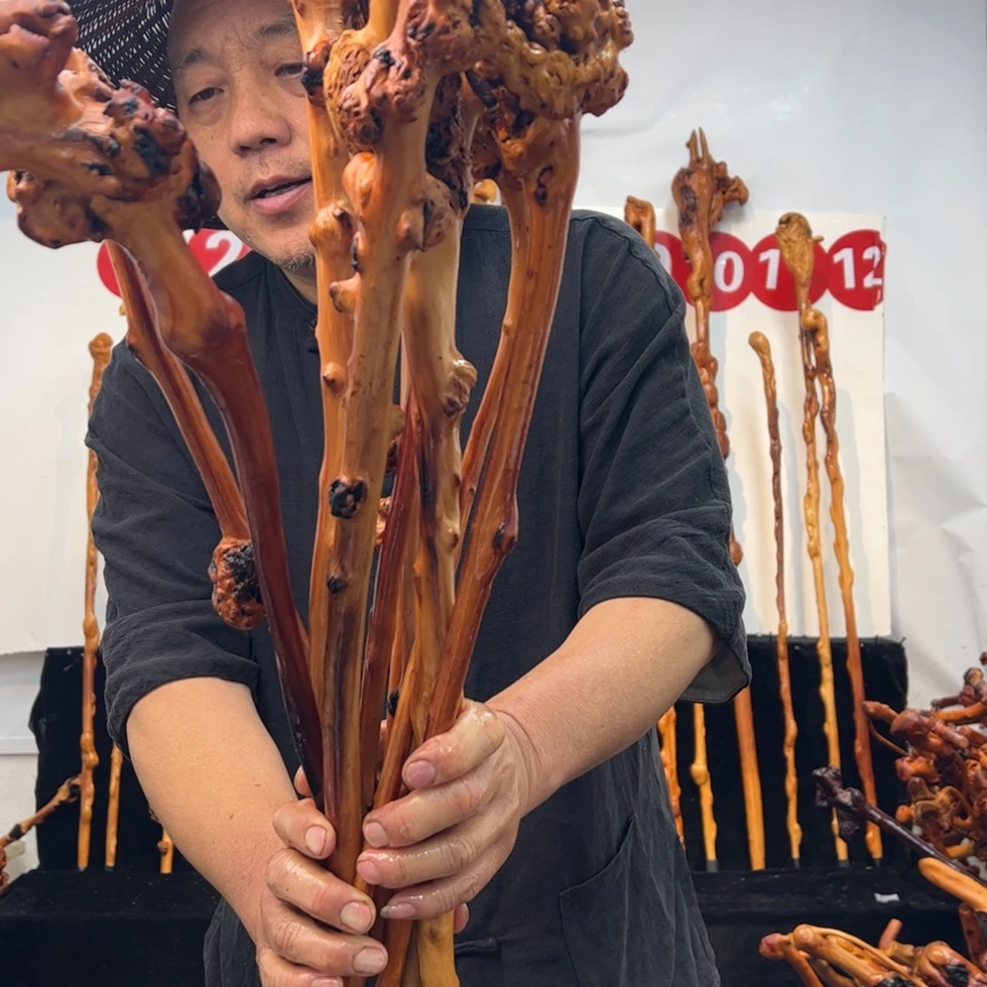 黑果木其他黑果木567