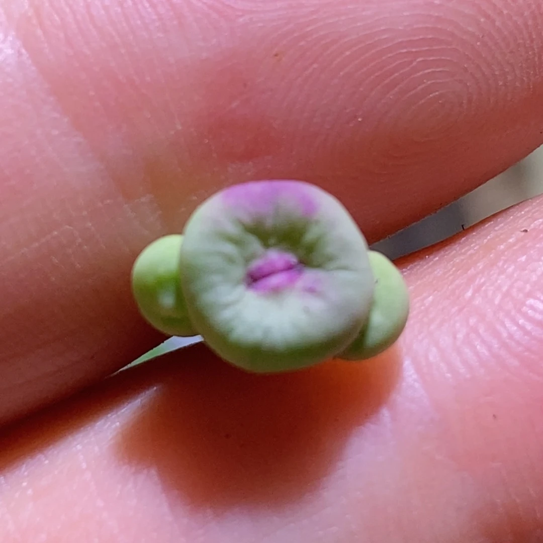 好看好看好看1380b