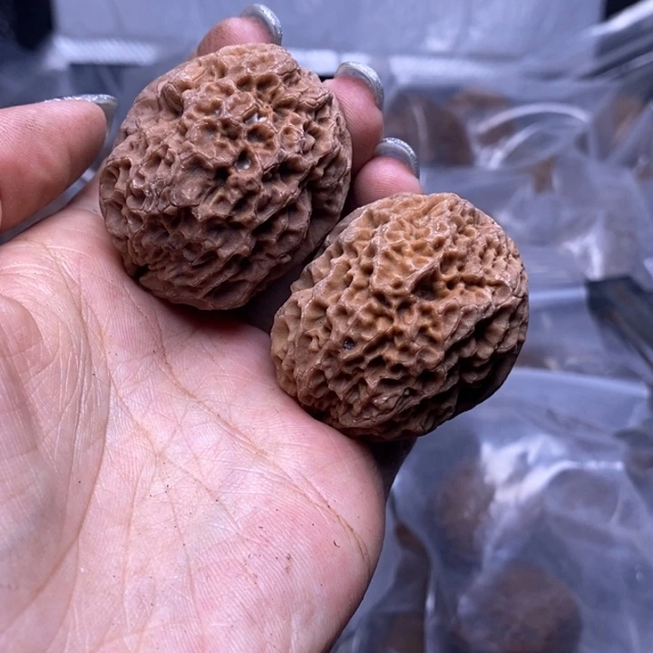 核桃云南野生铁核桃117号43mm