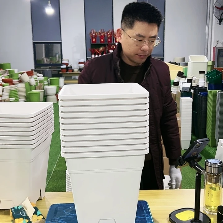 正品方盆口23高26白色5只无托