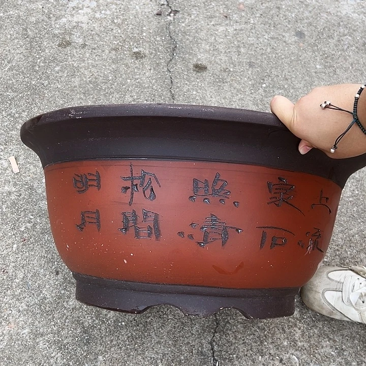 52红碗盆花盆花盆花盆花盆
