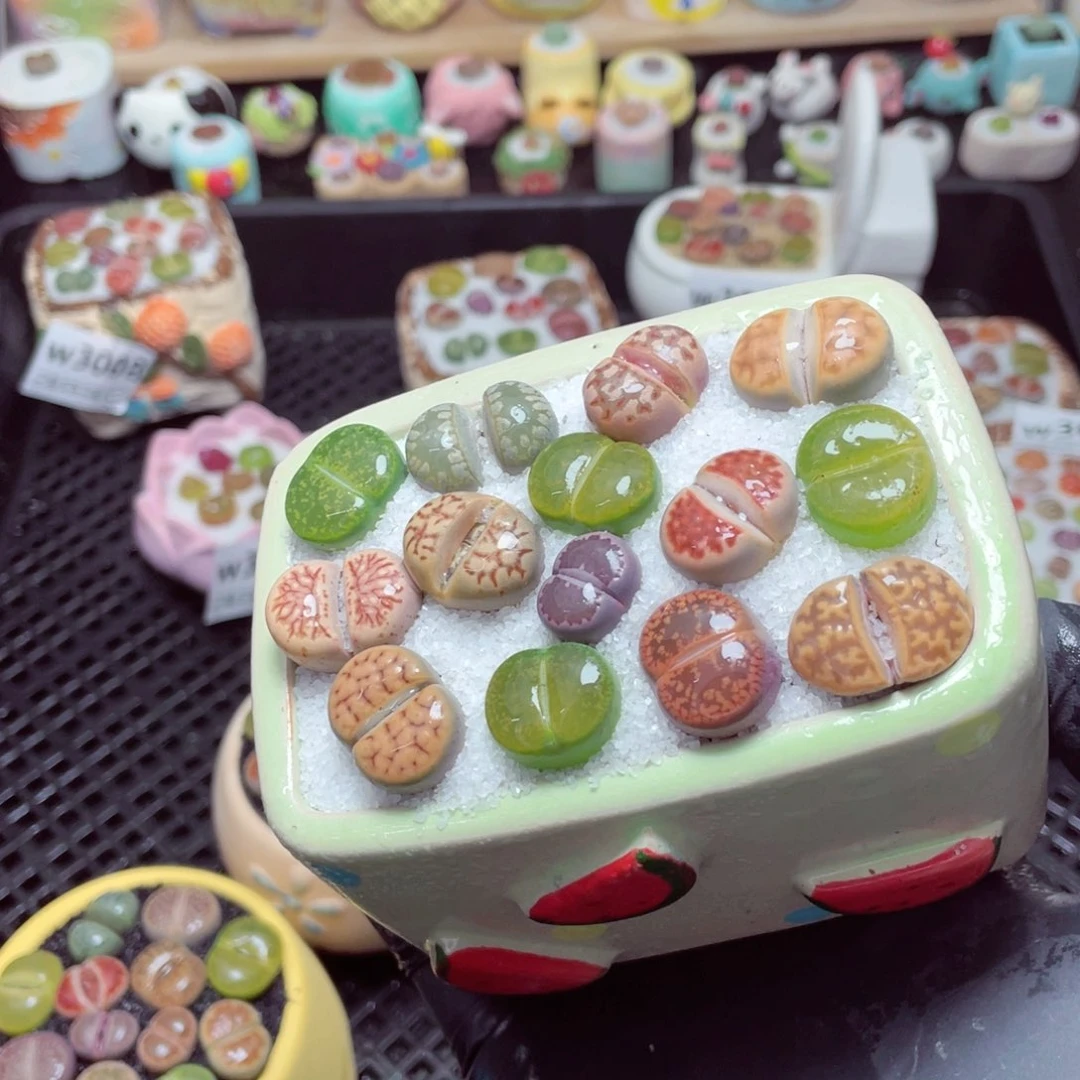 w3009--带盆土发货，零下地区拍保温箱