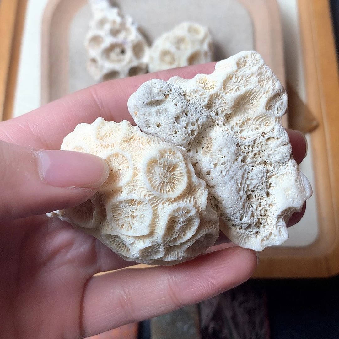 石英质玉颈饰未镶嵌我***袄