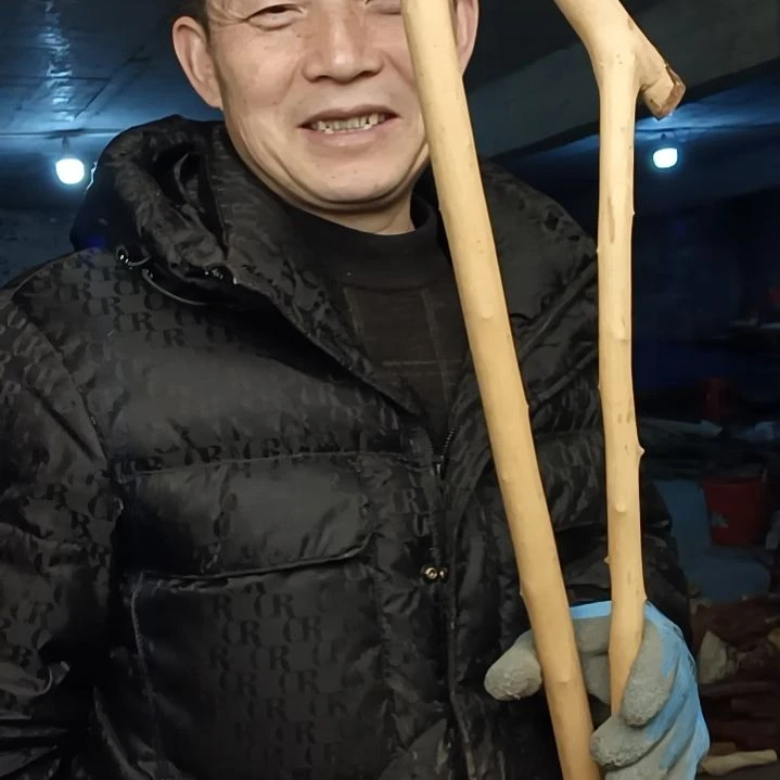 稳定木老*贵州檬子木   铁马鞭   根艺  半成品