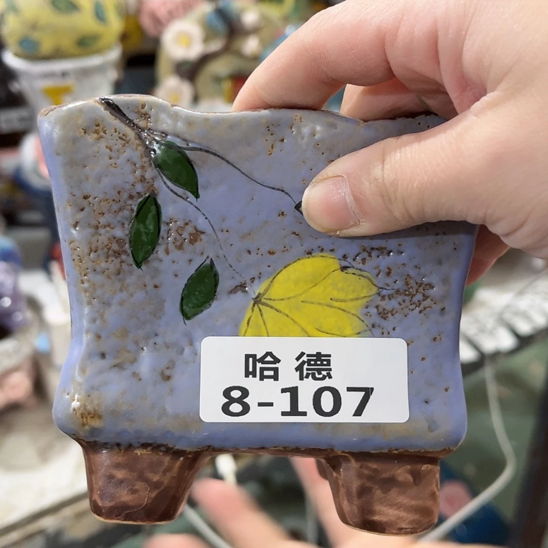 【闪购商品】红陶8107