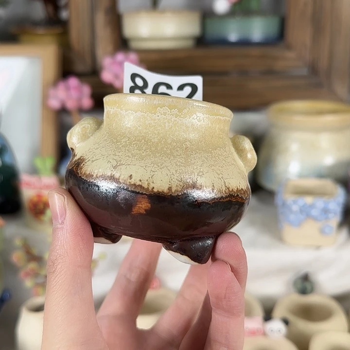 862 口5 福利特惠