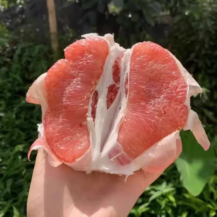 5斤/9斤新鲜湖北宜昌红心蜜柚香甜多汁红肉柚子农家自种当季水果