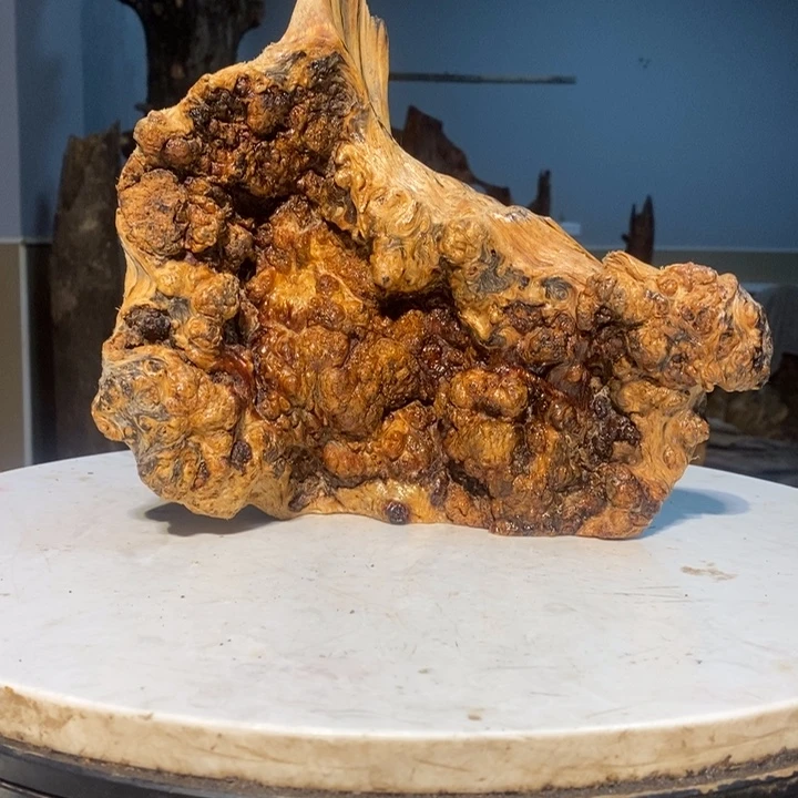 快****M我们都是你的粉丝57