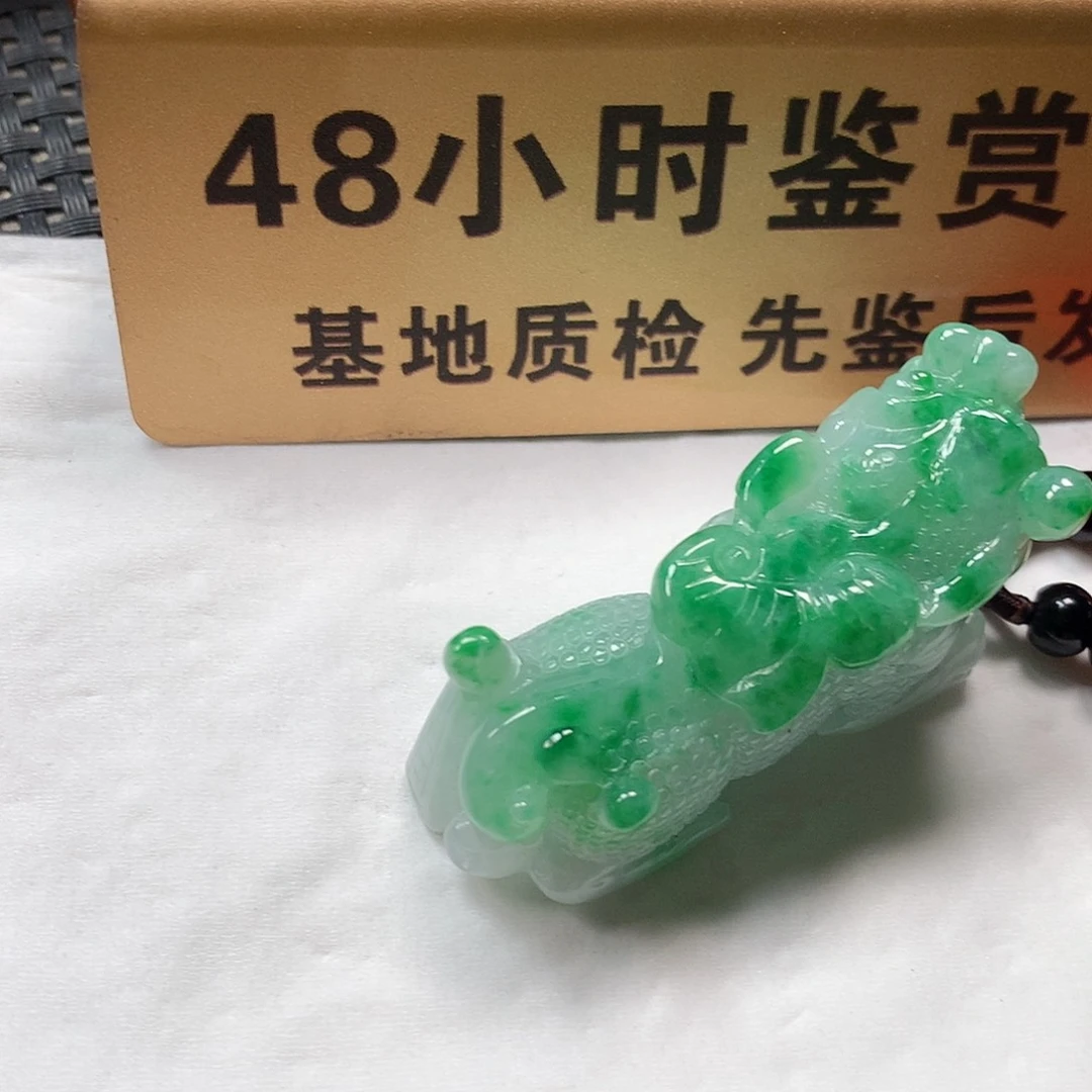 颈饰未镶嵌翡翠大貔貅