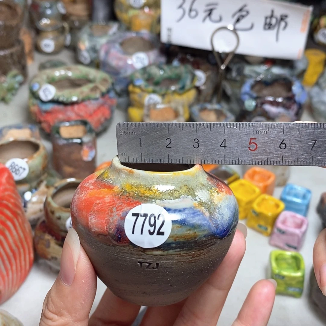 拍5送一个小礼物