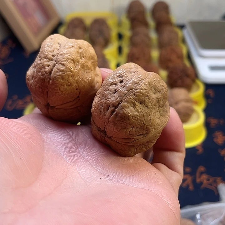 文玩核桃把件2方尊44