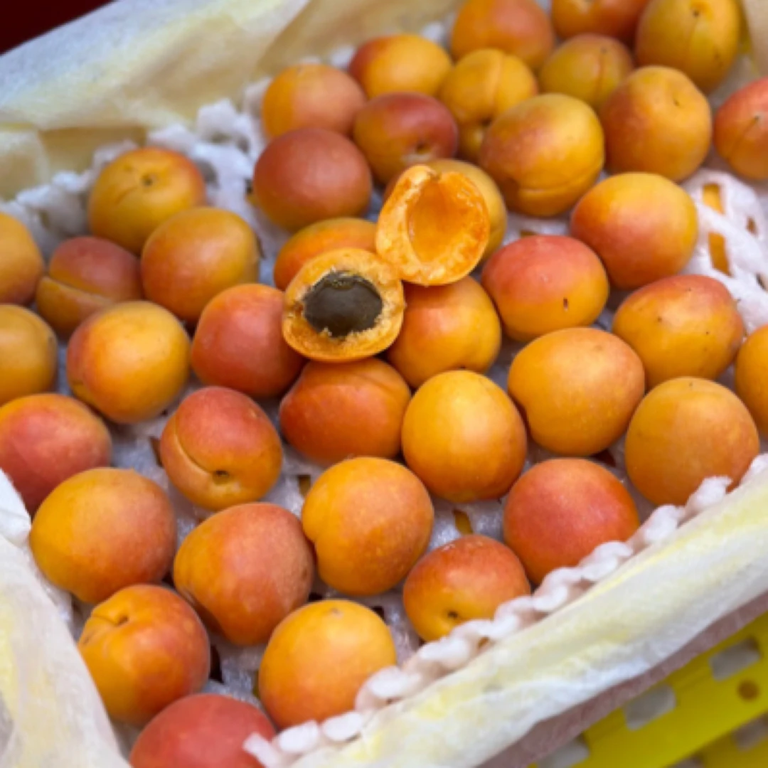 纯甜新疆吊干杏一箱装kg