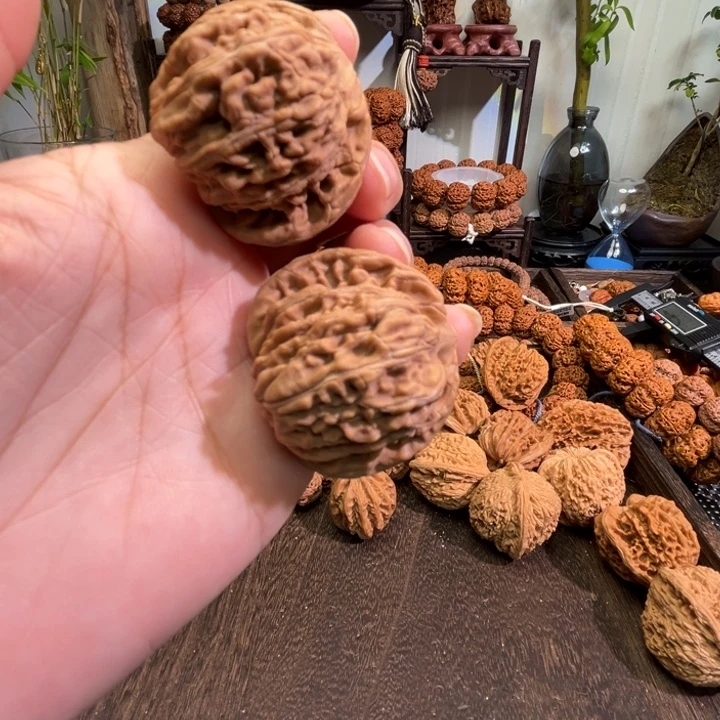春***春金刚菩提手串核桃