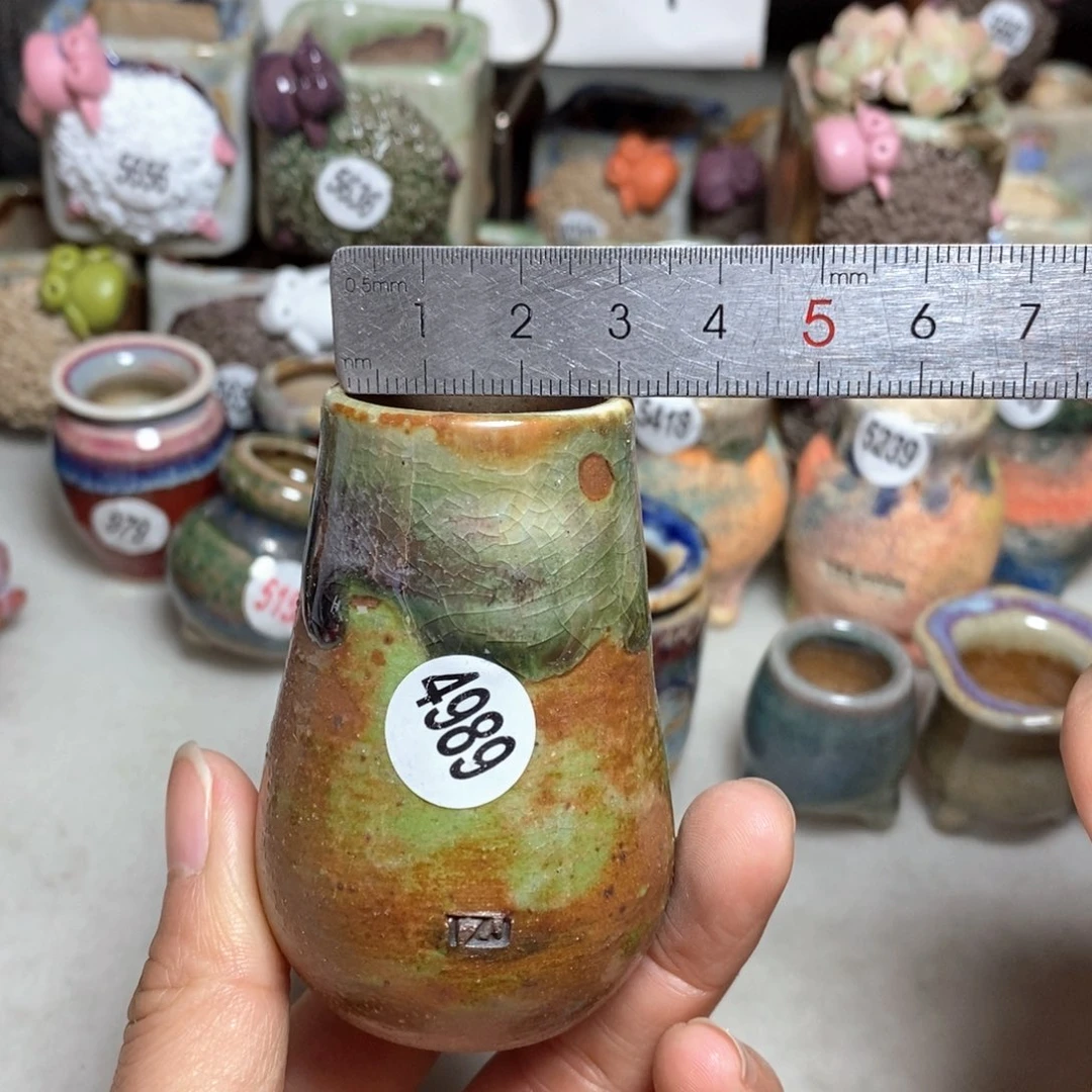 拍5送一个小礼物