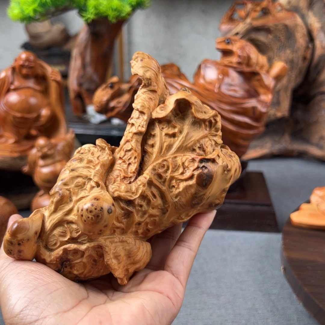 禧***珞柏木（崖柏）崖柏太行山脉