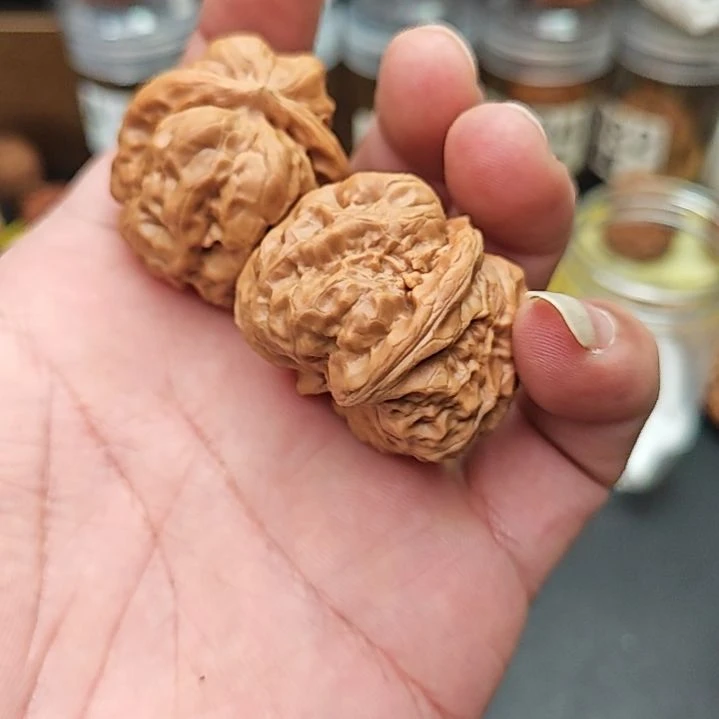 桃核把件老*蛤蟆头34