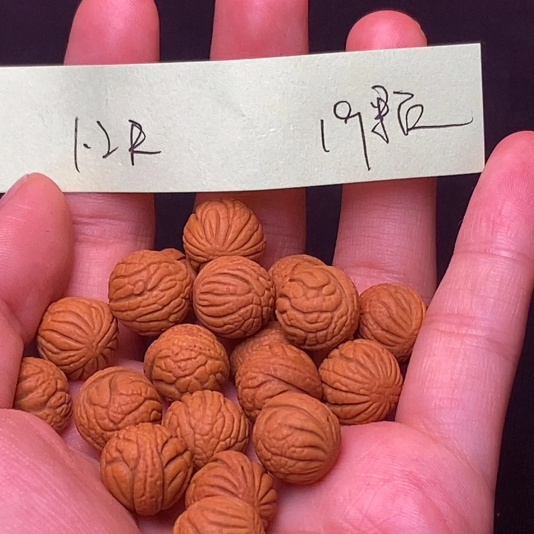 桃核吊坠秦岭龙纹桃核1