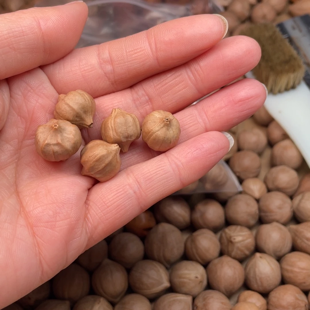 M***学手串/手链橄榄核16颗