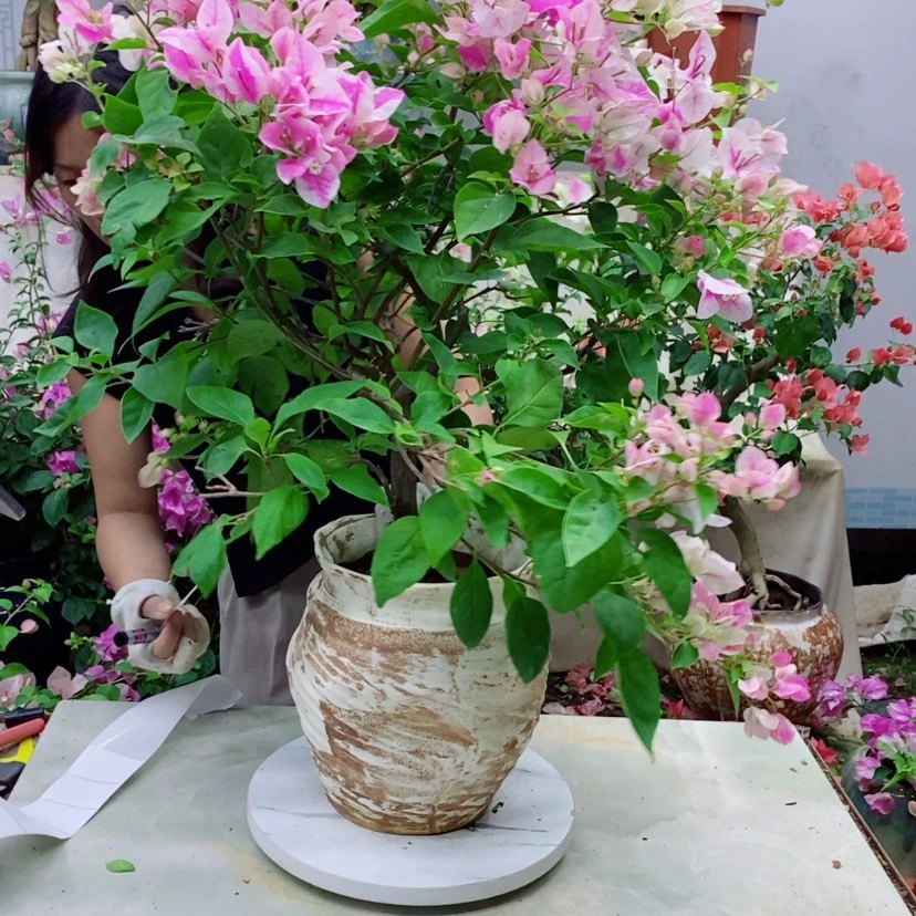 【闪购商品】完全开放