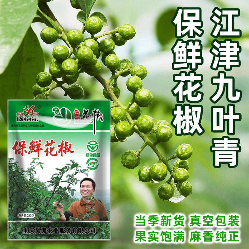 重庆江津九叶青花椒藤椒保鲜花椒冷冻包装350g新鲜花椒麻香鲜麻椒