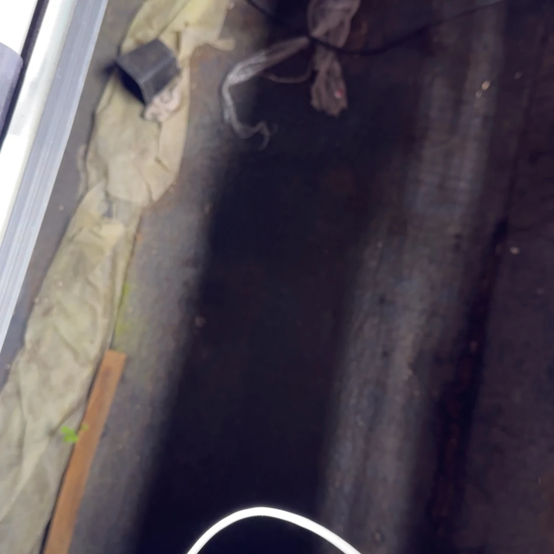 泼天芝麻三个满25包邮