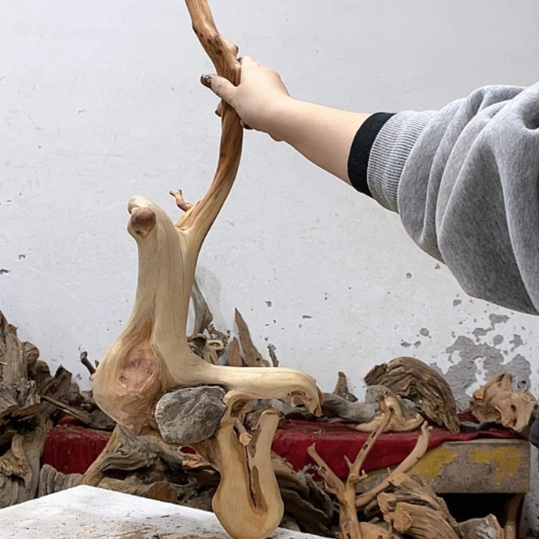 【闪购商品】柏木崔我们都是好孩子