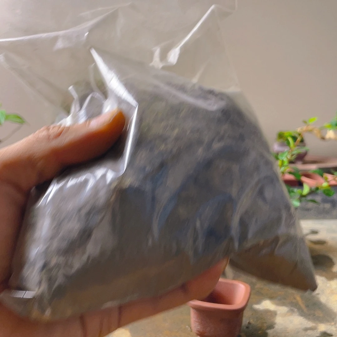岸****无花朵青苔花开富贵吉祥
