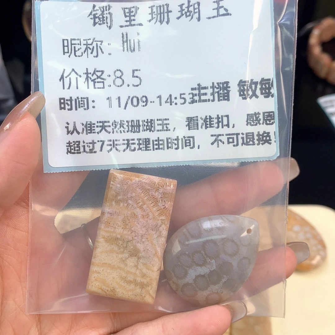 【闪购商品】颈饰未镶嵌硅化珊瑚（珊瑚玉）H*i
