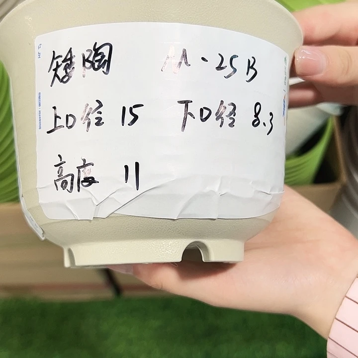 正品矮陶口15高11米色带托10只